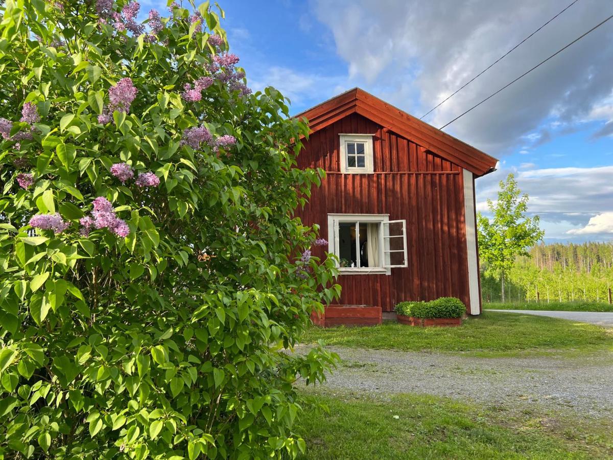 Lilla Backstugan
